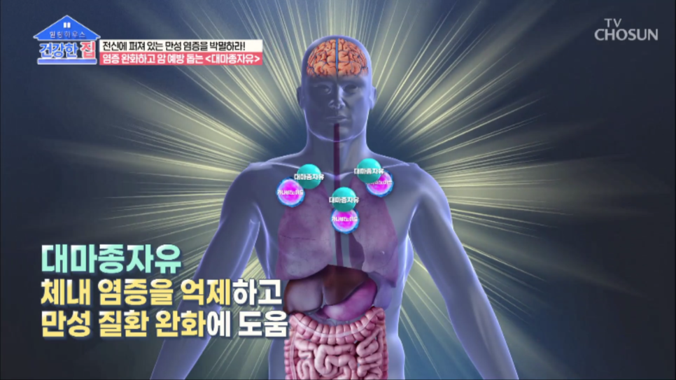 유방암에좋은 5