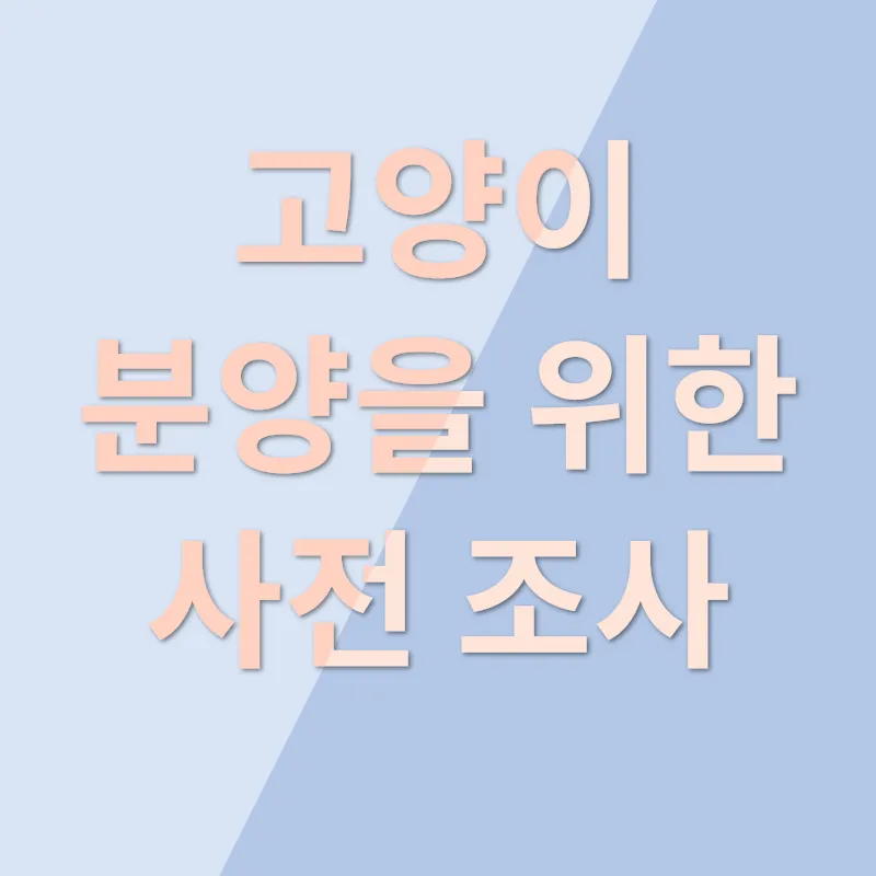 고양이 분양_1