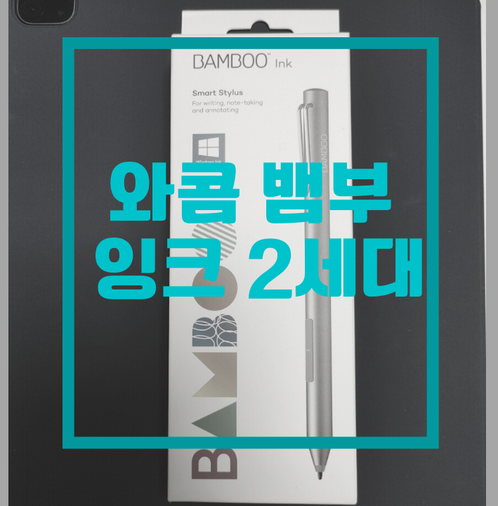  비전문가의 와콤 뱀부 잉크 2세대 리얼 사용 후기