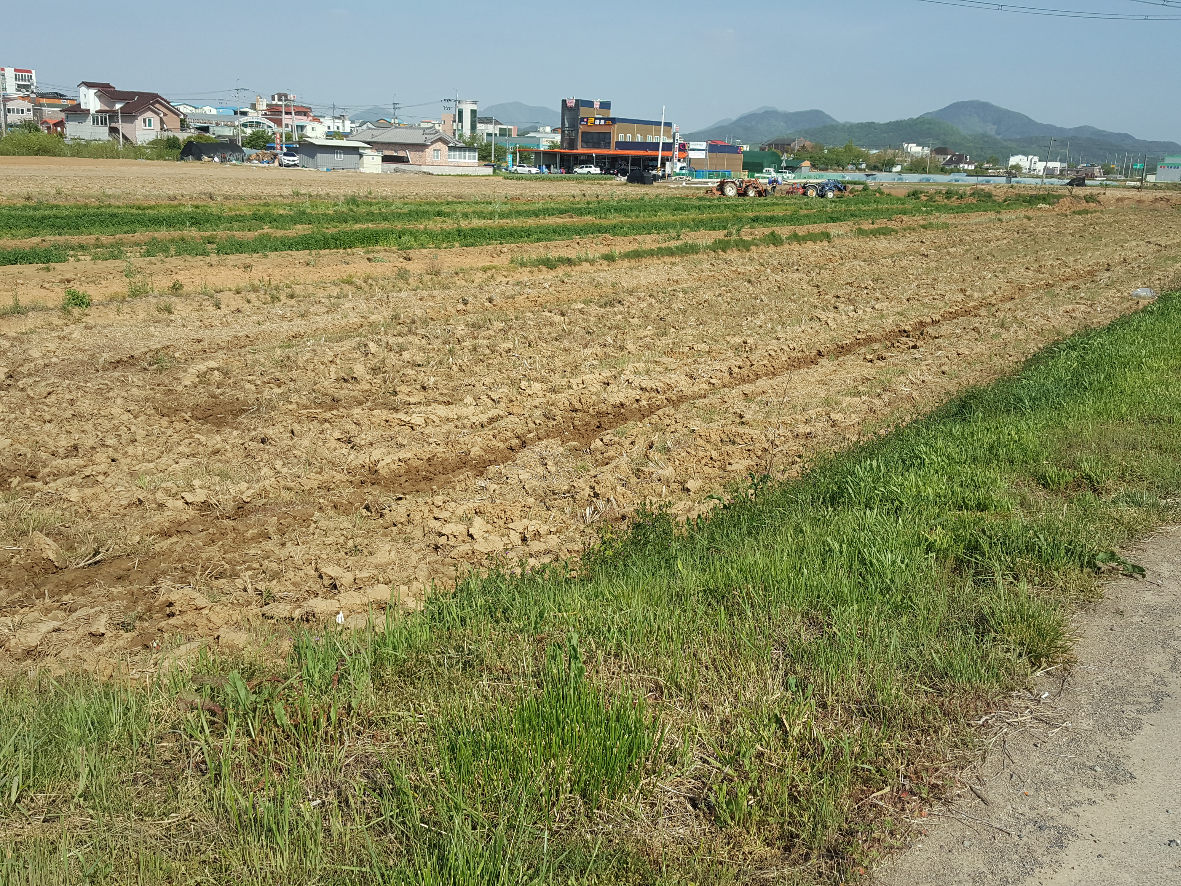  (땅나라 252번) 경남 함안의 면소재지 인근, 도로변 주변 인근 농지원부, 농지연금 사용용도로 공시지가 보다 싼 토지 910평 매매.  / 문의 055)585-0053