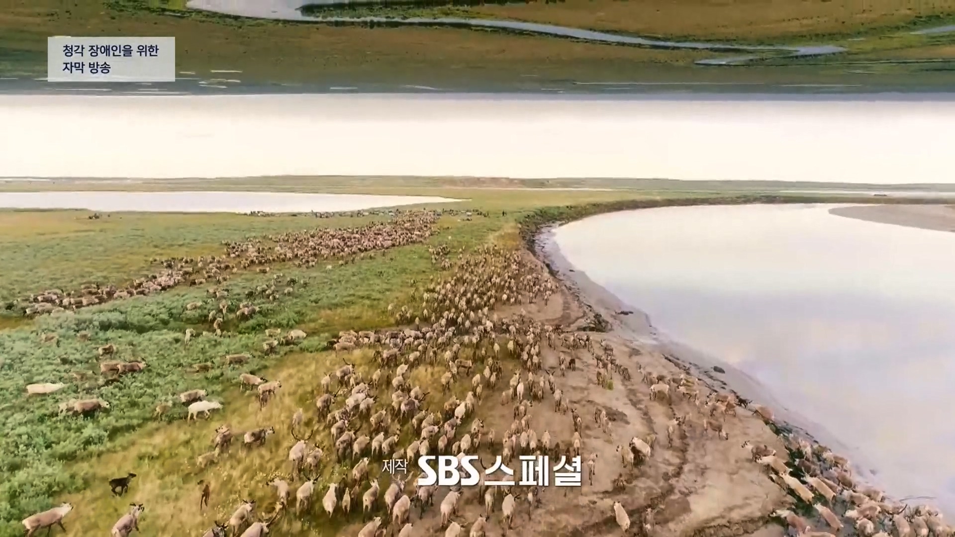 일요 특선 다큐멘터리.E313.230423p.H264-F1RST.mp4_20230423_142709.316.jpg