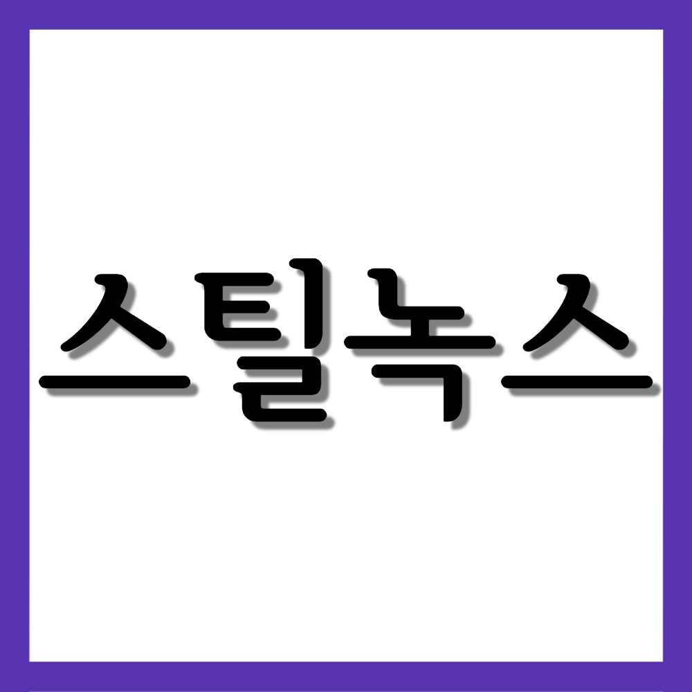  스틸녹스정 10mg, 효능/복용법/부작용 등 모든 것!