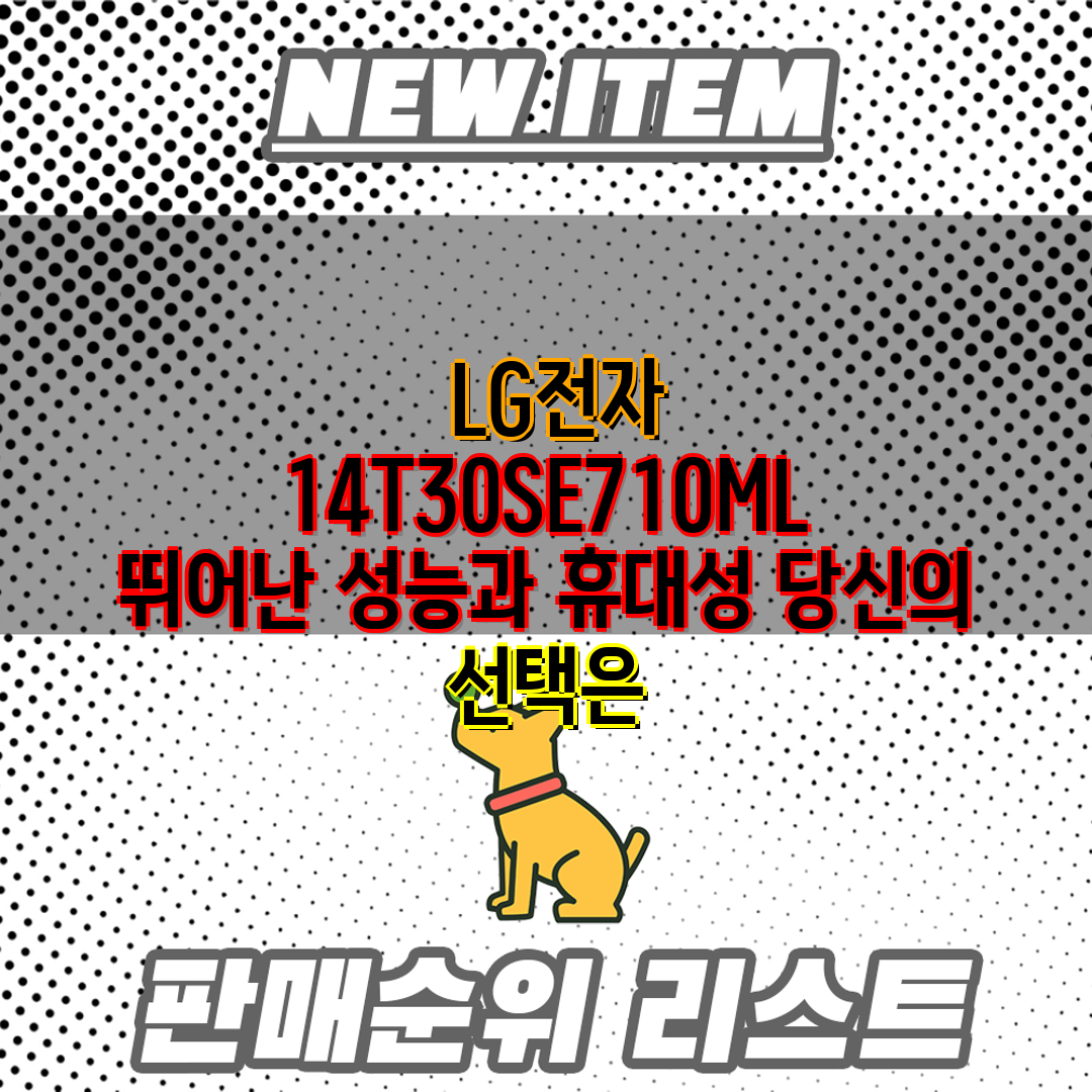  LG전자 14T30SE710ML 뛰어난 성능과 휴대성