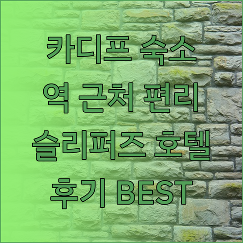 카디프 여행 슬리퍼즈 호텔 카디프 숙