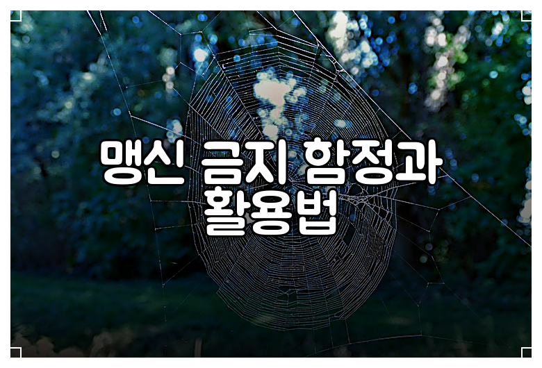 맹신 금지 함정과 활용법