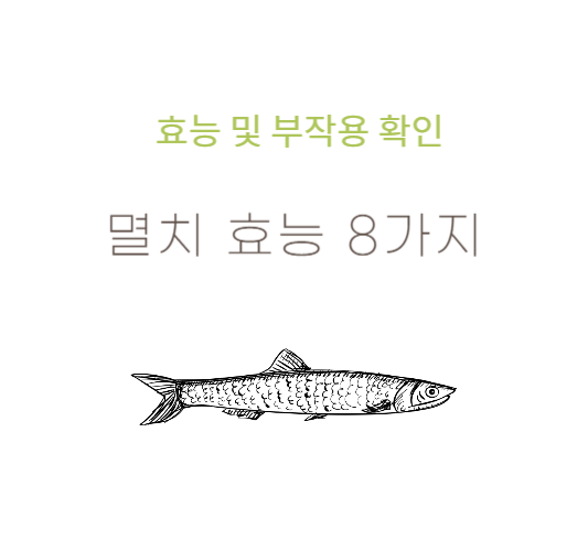 멸치효능&#44;부작용