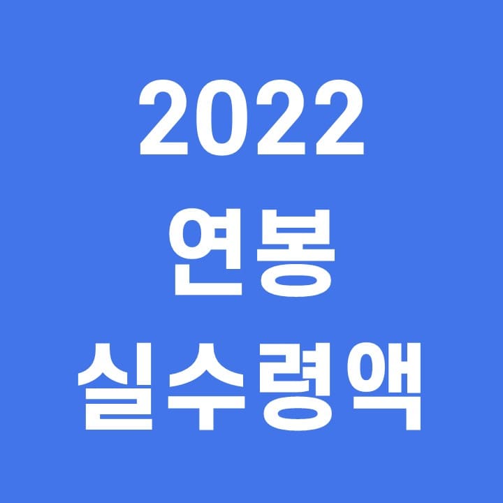 2022-연봉-실수령액-계산