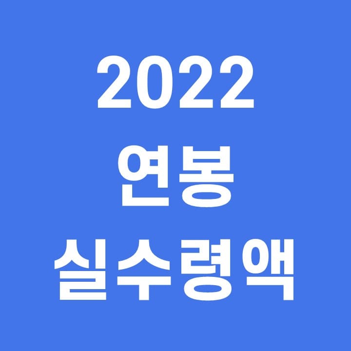  2022 연봉 실수령액 간단하게 계산