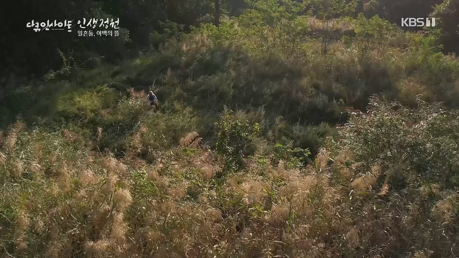 다큐 인사이트.E135.221229p.H264-F1RST.mp4_20230109_204223.466.jpg