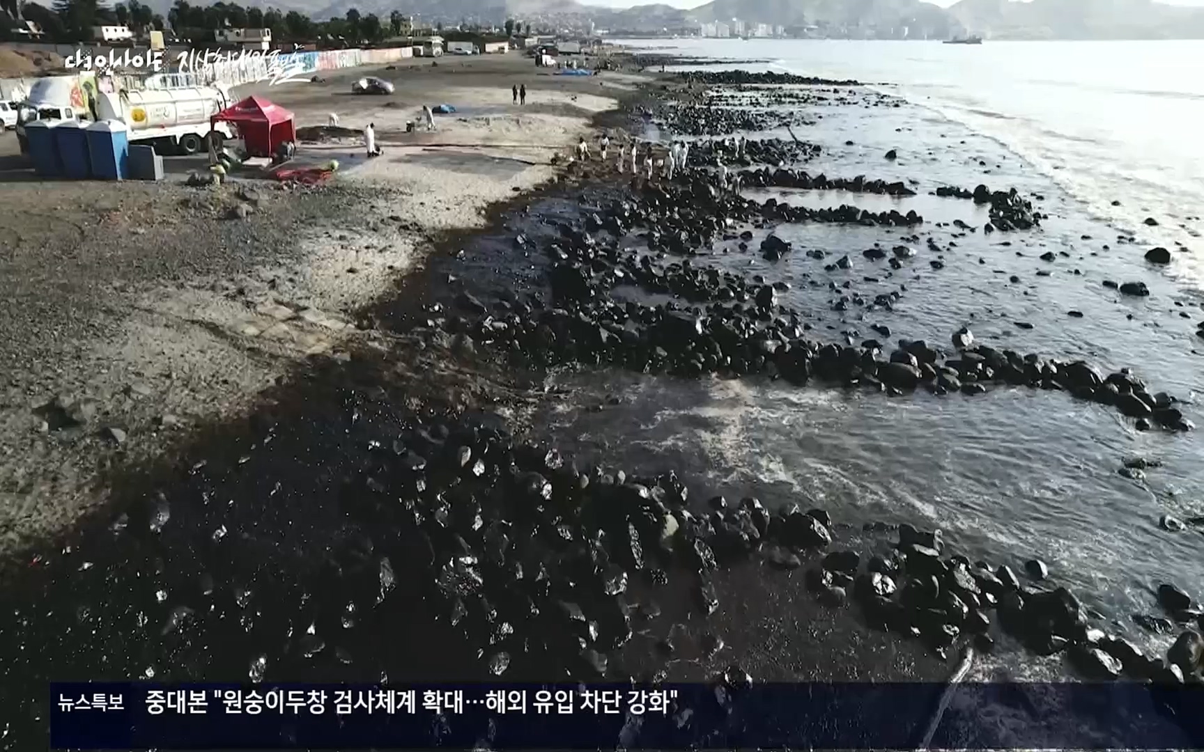다큐 인사이트.E114.220526p.H264-F1RST.mp4_20220531_204811.384.jpg