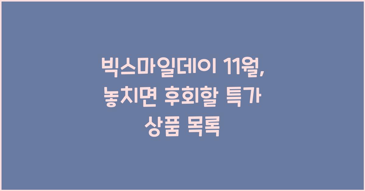 빅스마일데이 11월