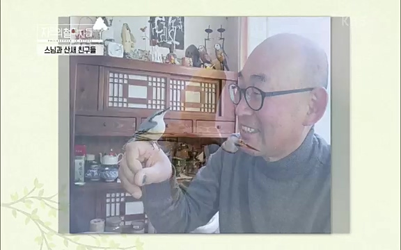 [3회] 자연의 철학자들 - KBS새처럼 살고 싶어라] 자연이라는 위대한 법당에서 숲의 울림, 새들의 소리를 들으며 깨달음을 얻은 도연 스님.ts_20220320_153551.214.jpg