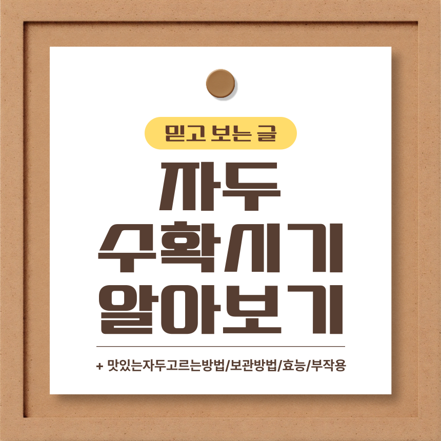  자두 수확시기 알아보기