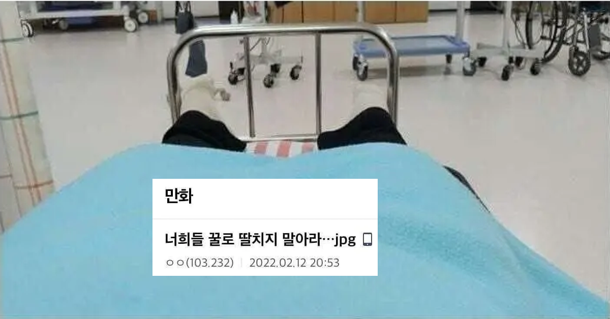 만화갤러리 탕후루남 레전드