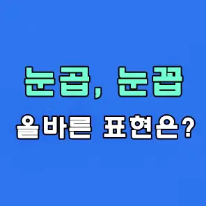 눈곱 눈꼽