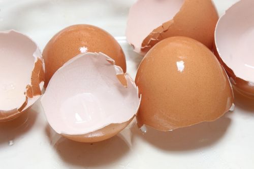 달걀 껍질 안쪽의 얇은 막이 '난각막'