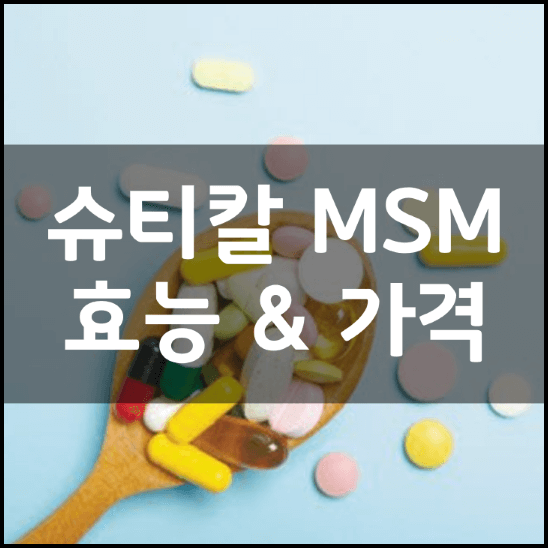 슈티칼-MSM(엠에스엠)-효능-가격