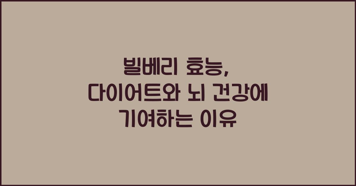 빌베리 효능