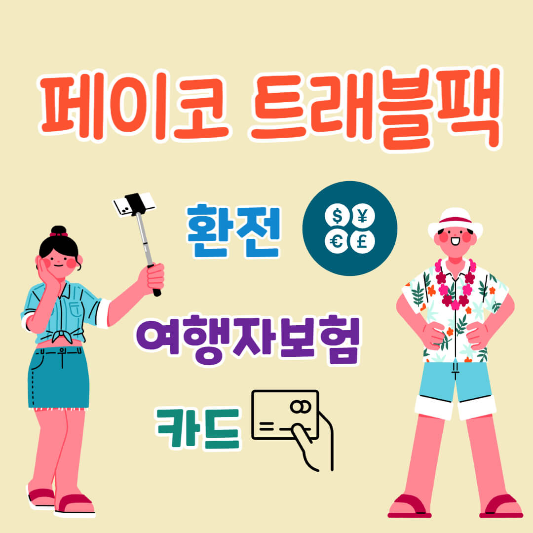페이코트래블팩