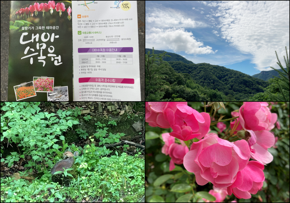  전주 여행 대아수목원 다람쥐보다