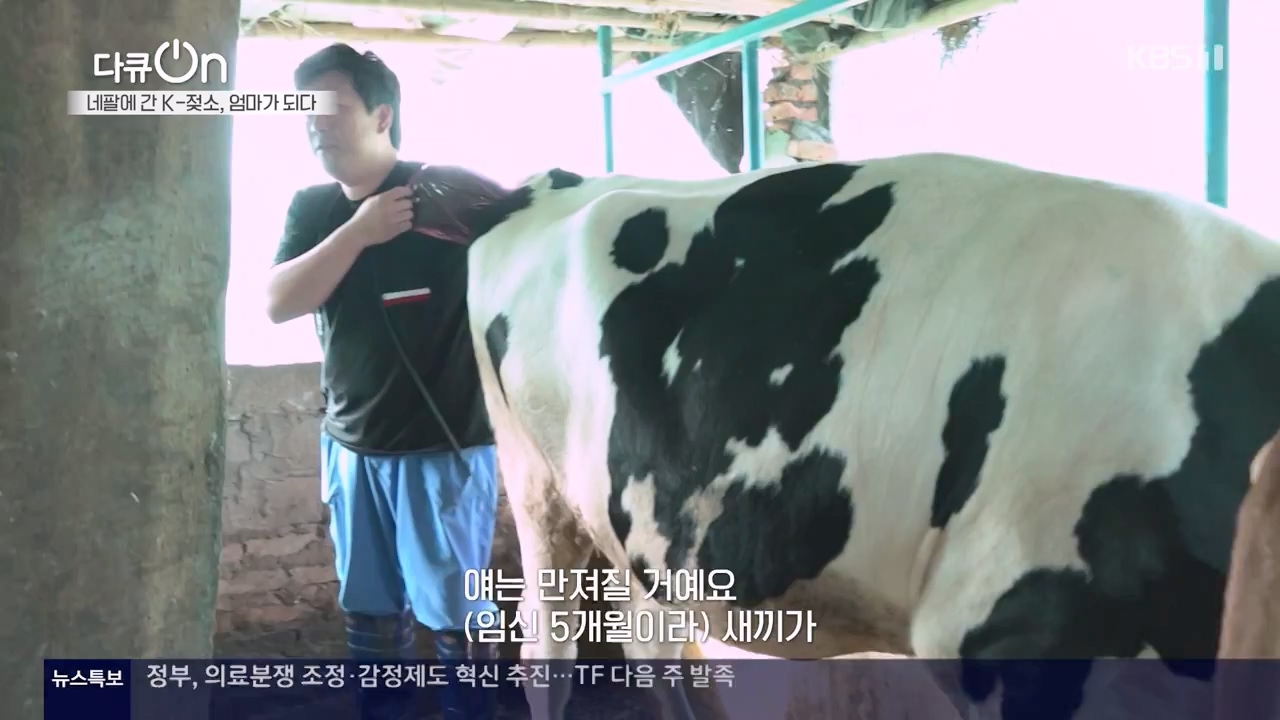 다큐 온.E241.240317p-NEXT.mp4_20240317_182813.825.jpg