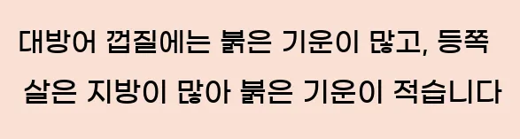  대방어 껍질에는 붉은 기운이 많고, 등쪽 살은 지방이 많아 붉은 기운이 적습니다