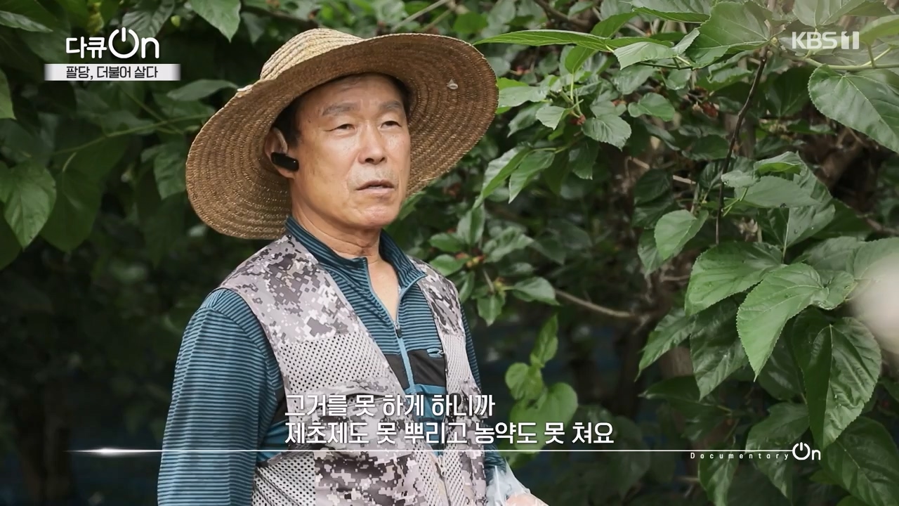 다큐 온.E208.230730p-NEXT.mp4_20230802_202542.888.jpg