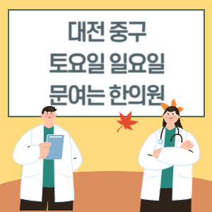 대전 중구 토요일 일요일 한의원 진료 병원 리스트