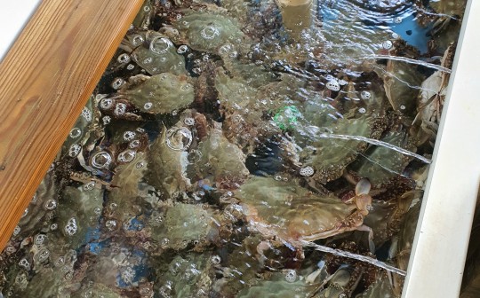 식당 내부 모습