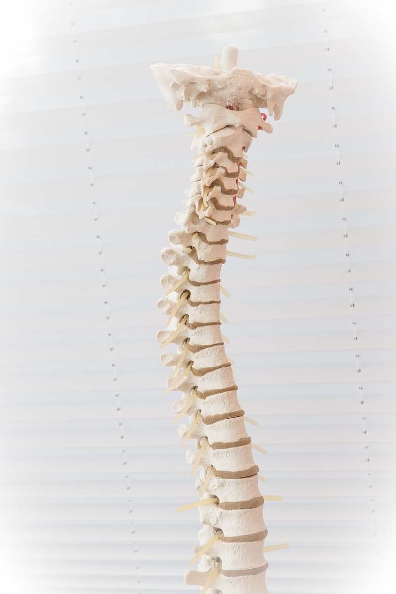 척추분쇄압박골절-치료-수술