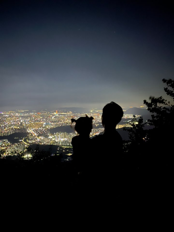 식장산 야경