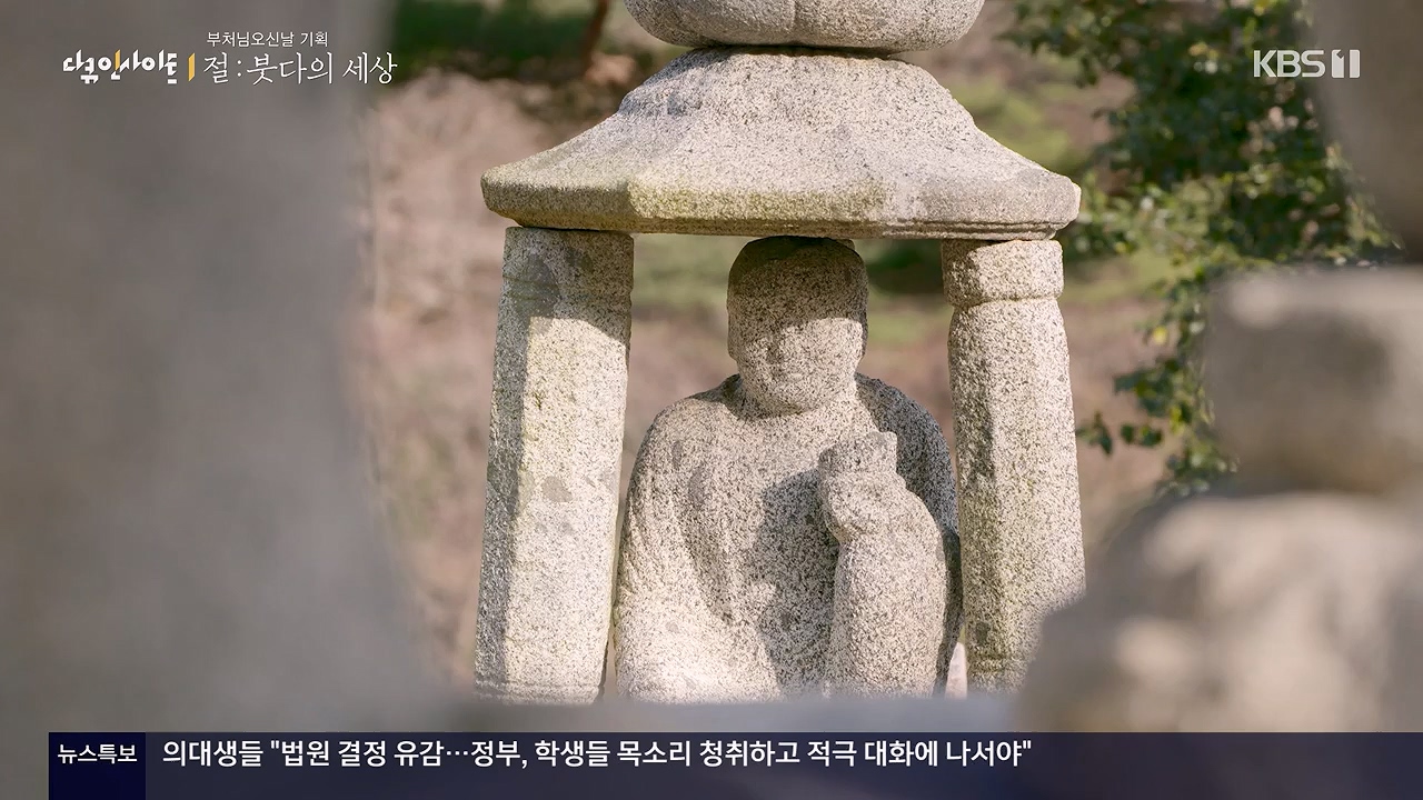 다큐 인사이트.E185.240517p-NEXT.mp4_20240517_202645.117.jpg