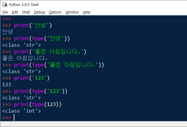 파이썬 문자열 자료형의 타입을 확인하는 예제