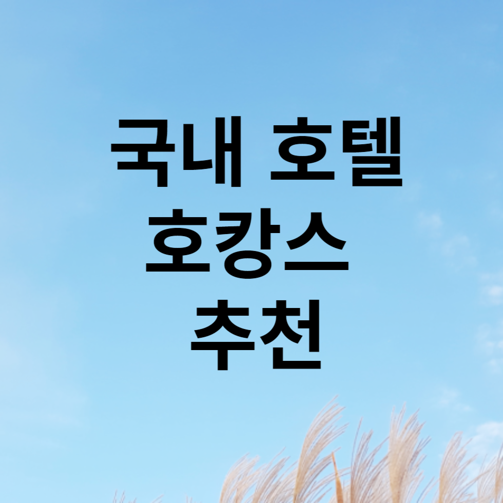 국내 호텔 호캉스 추천