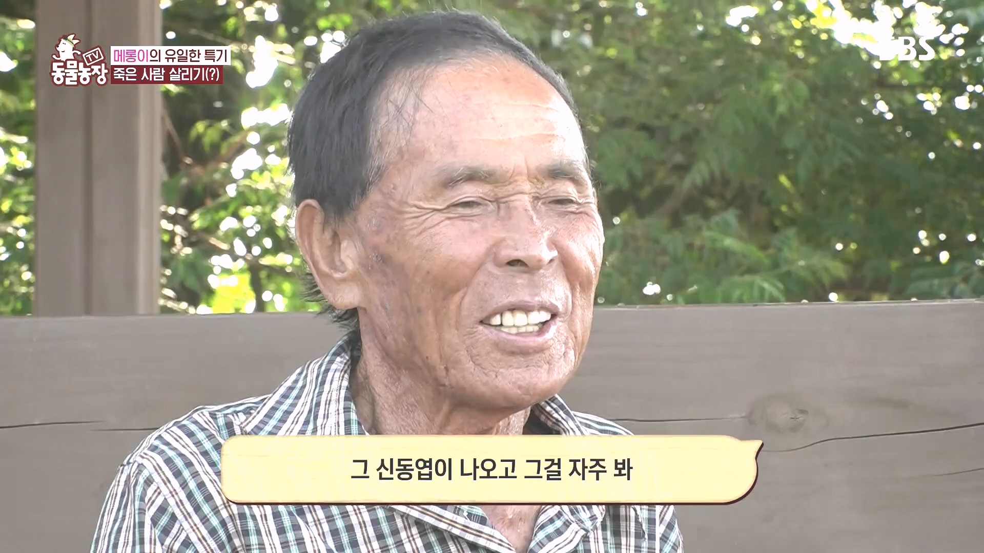 TV 동물농장.E1185.240818p.H264-F1RST.mp4_20240818_161558.358.jpg