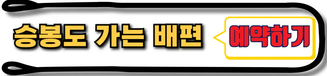 대부도 승봉도 배편 예약