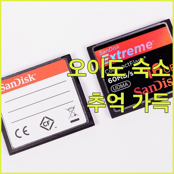 시흥 오이도 숙소 탐방기 빨간등대 호
