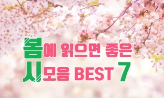 봄 시 모음 이해인 나태주 명시 모음_8