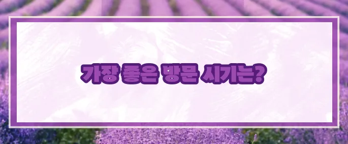 베트남 여행하기 좋은 계절 (+최적시기)