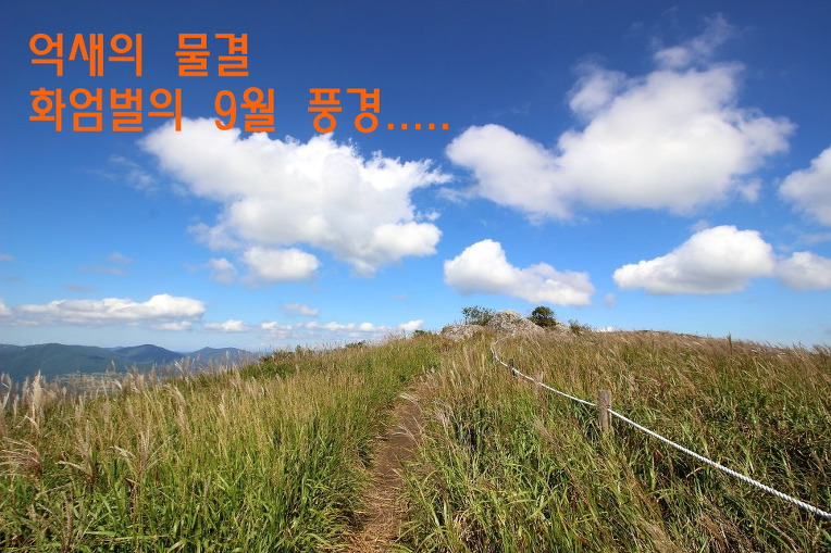 천성산 이미지