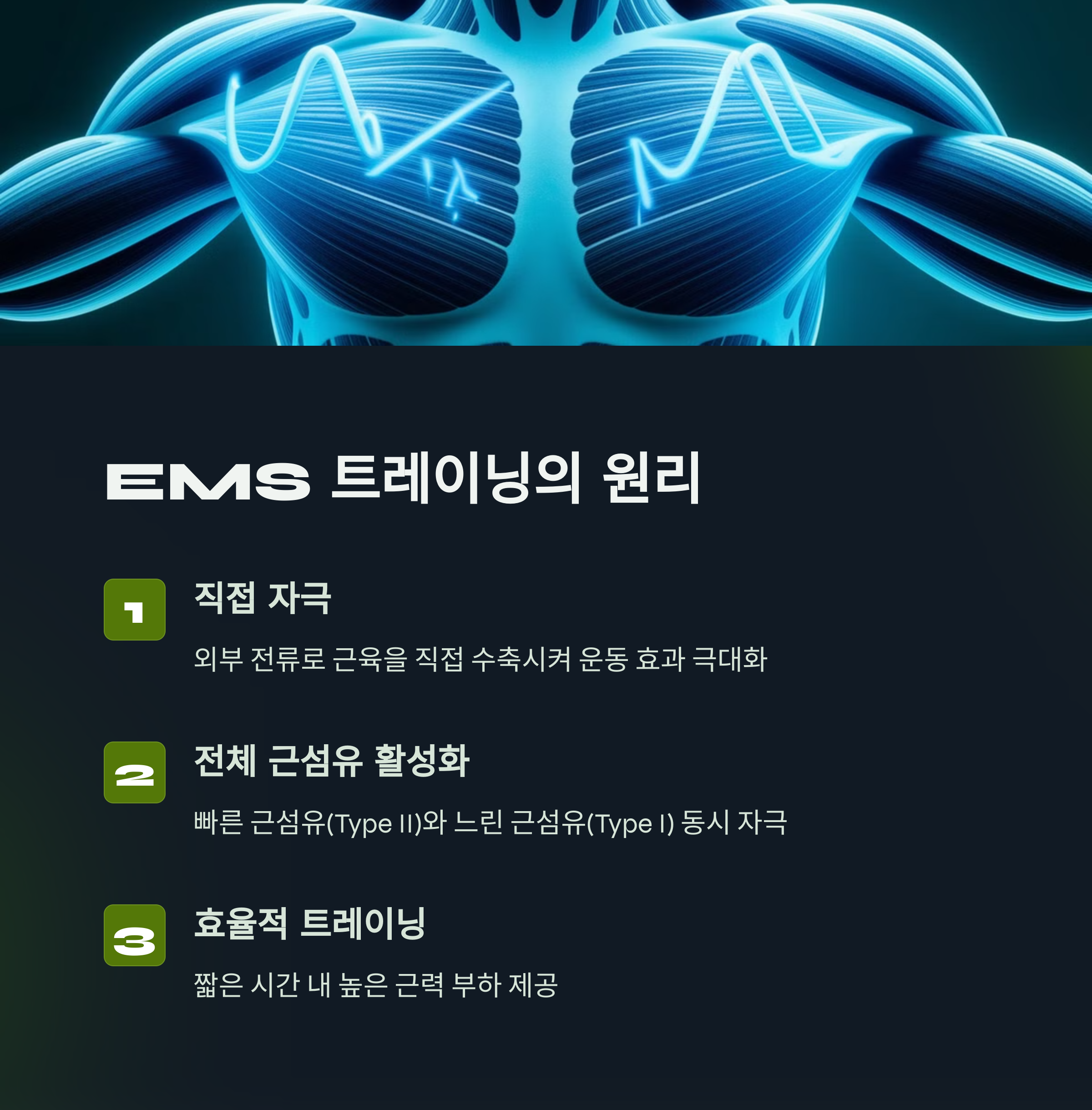 2_EMS.png