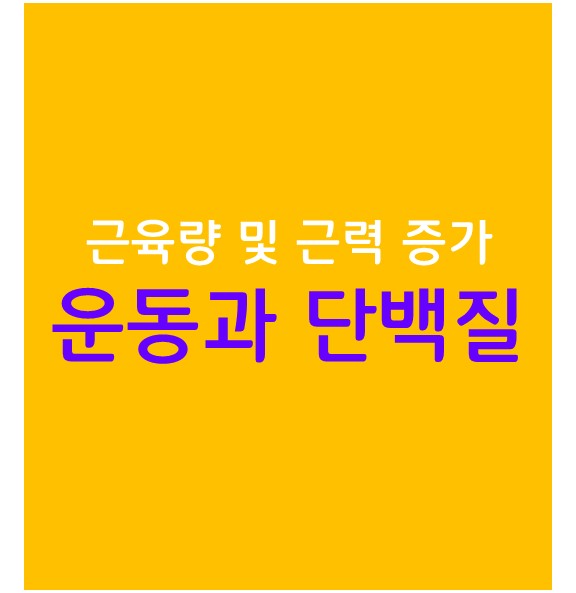  근육량 및 근력 증가를 위한 운동과 단백질 보충