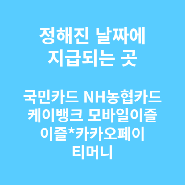 K패스 교통카드 소개 지급방식 페이 이용방법