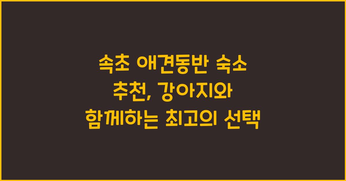 속초 애견동반 숙소