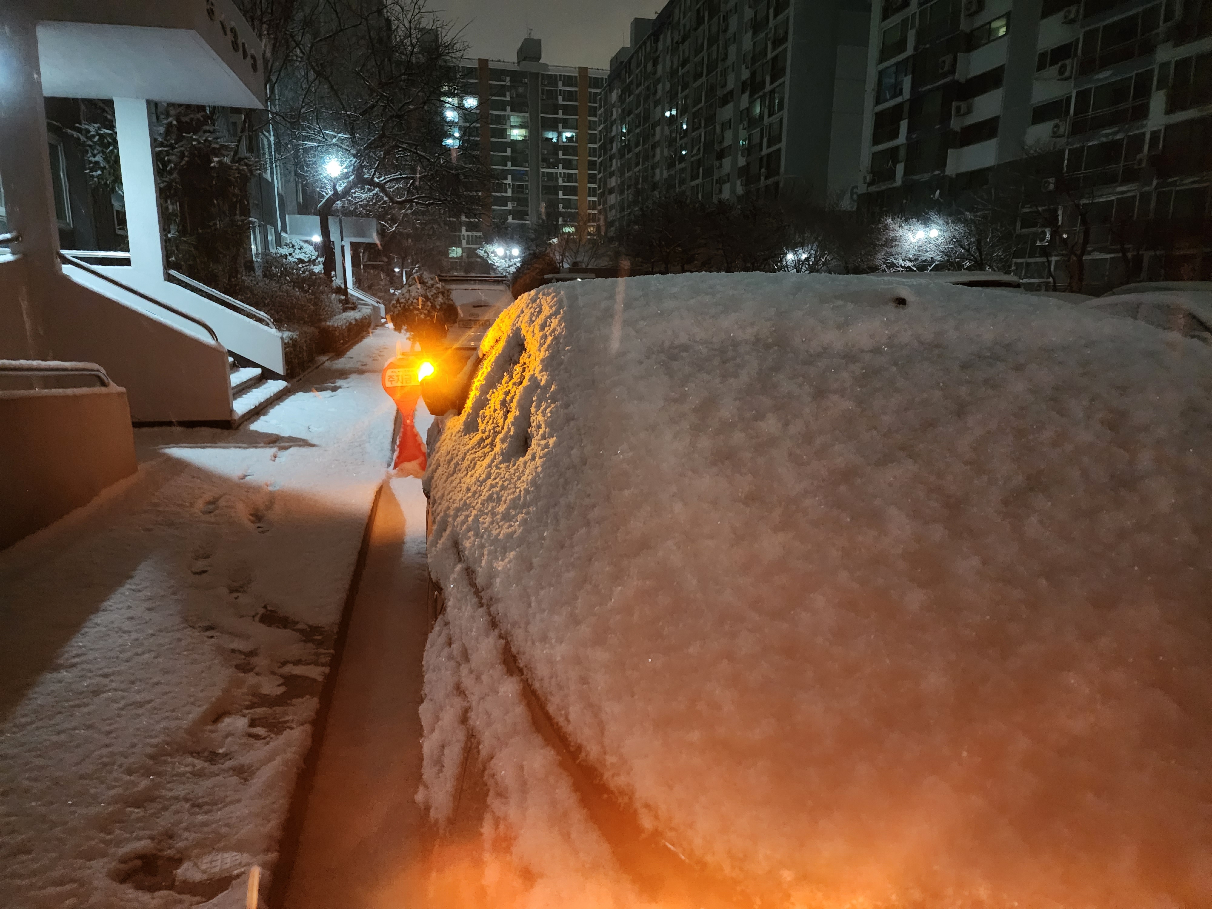  기다리던 눈이 내리네..