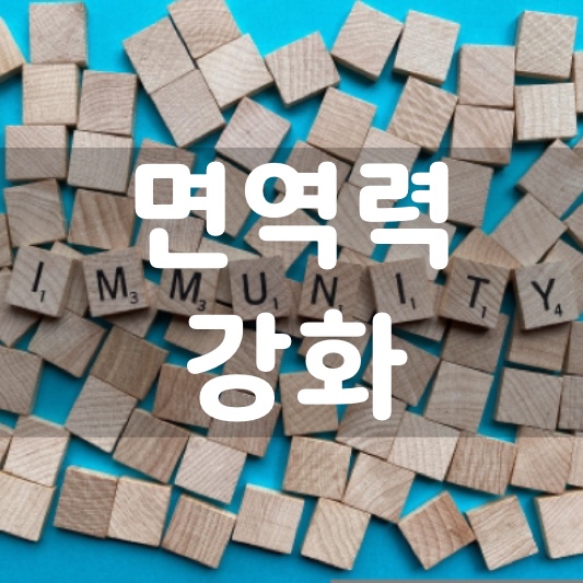  환절기 비염 알레르기 감기는 면역력 때문이다? 면역력을 높이기 위한 3가지 방법!
