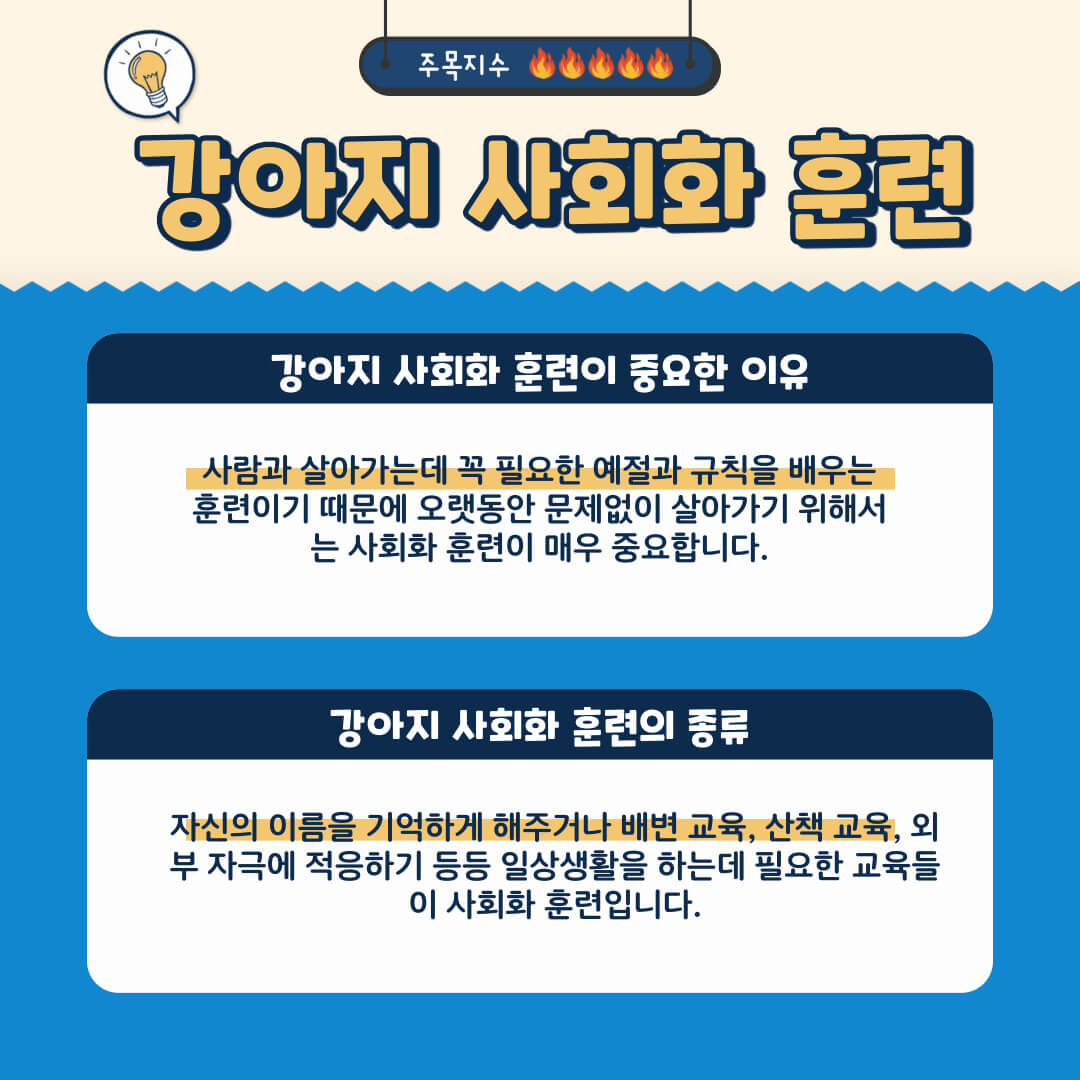 강아지 사회화 훈련의 종류