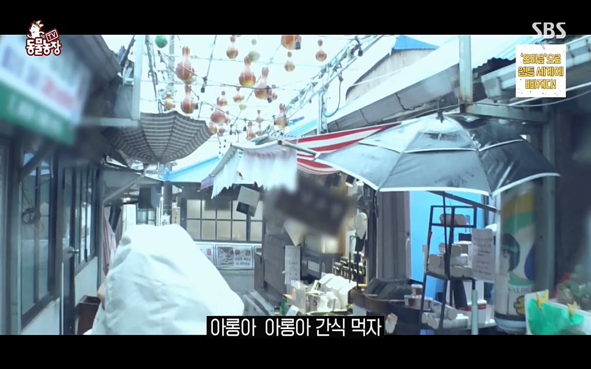 TV 동물농장.E1079.220725p-NEXT.mp4_20220724_151930.148.jpg