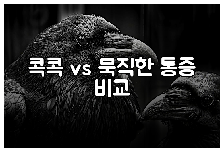 콕콕 vs 묵직한 통증 비교