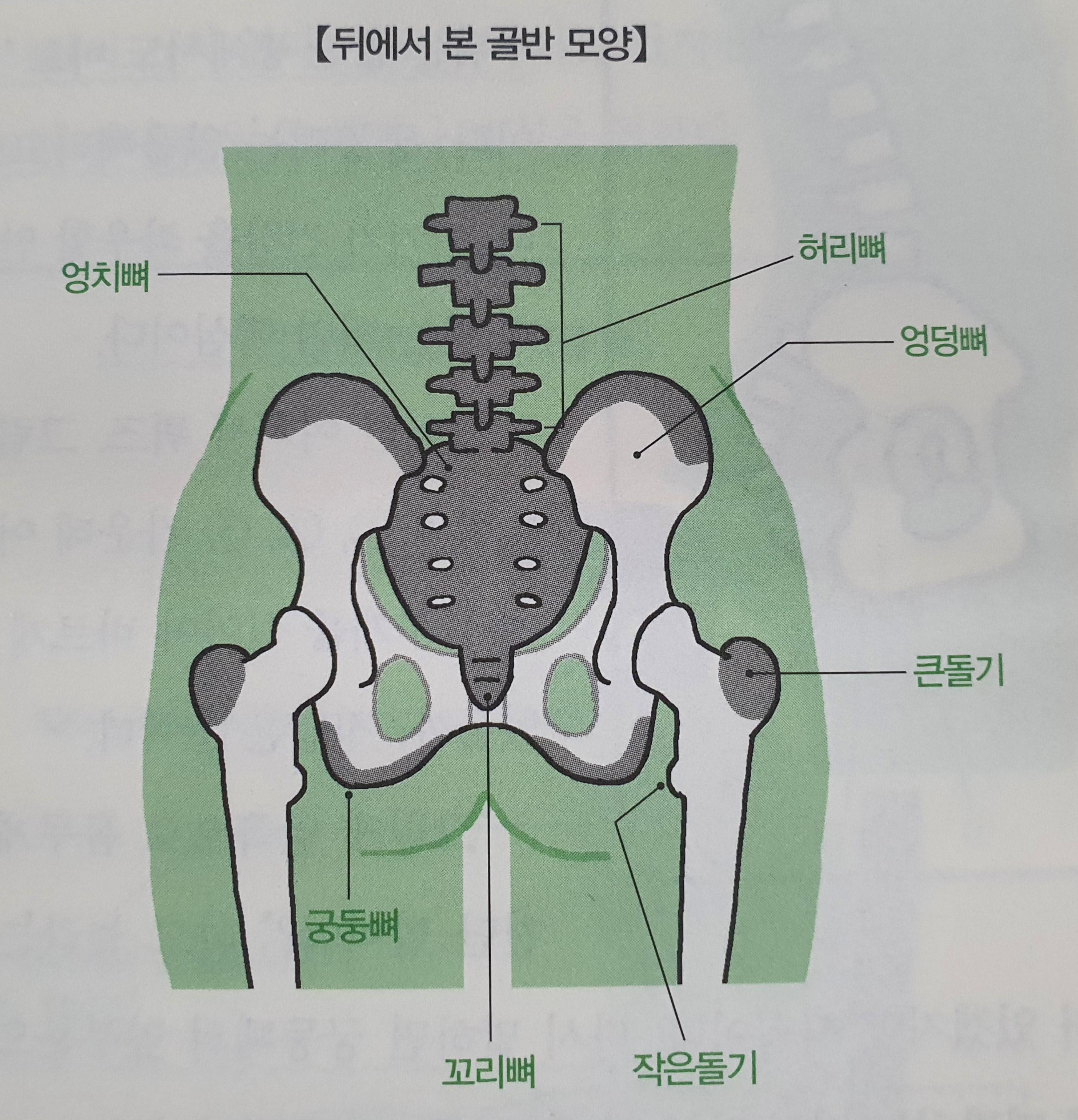 똑바로 바르게 앉는 자세 및 방법 총정리(feat. 허리 통증&amp;#44; 어깨결림&amp;#44; 골반 통증)